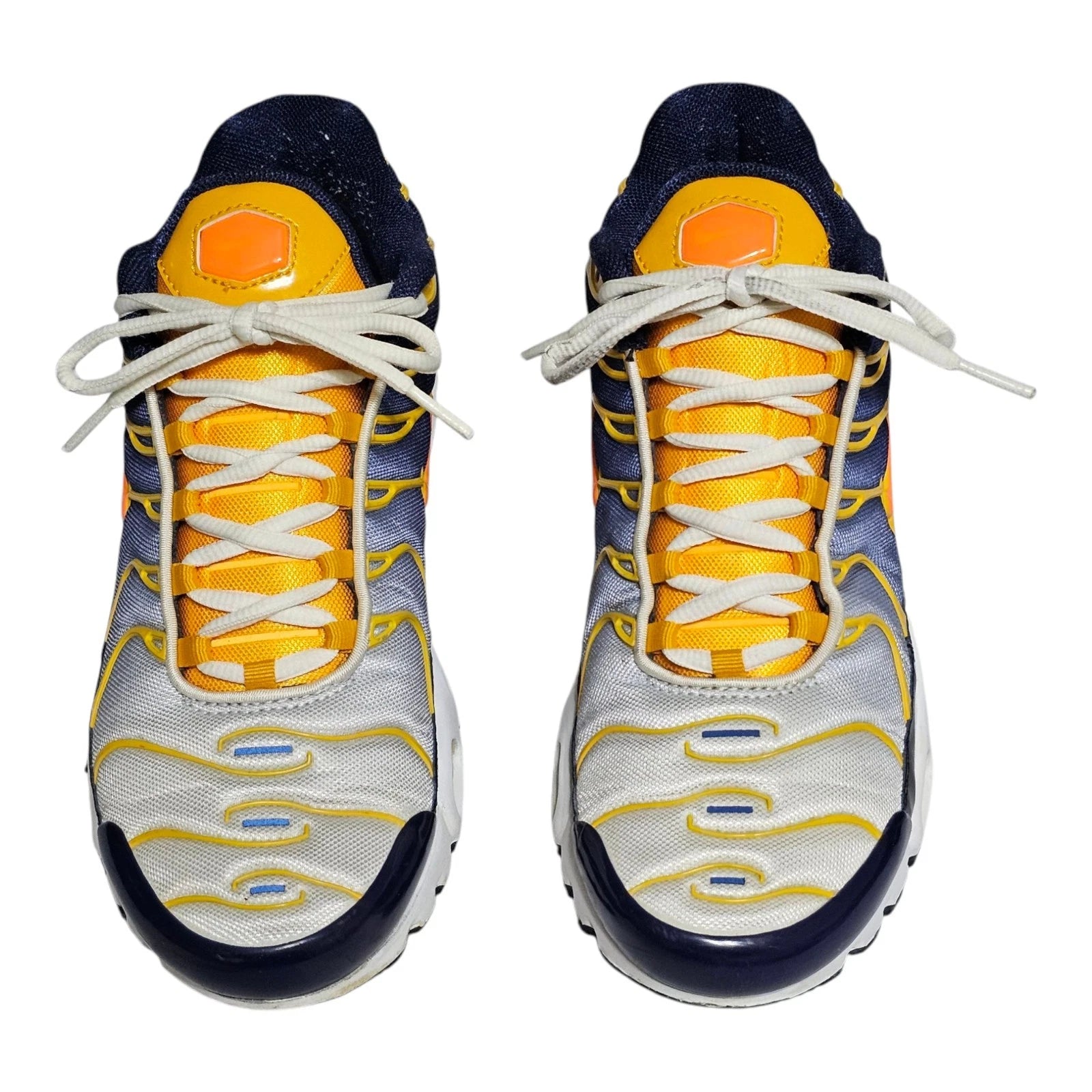 Nike Air Max TN Midnight Navy Tart